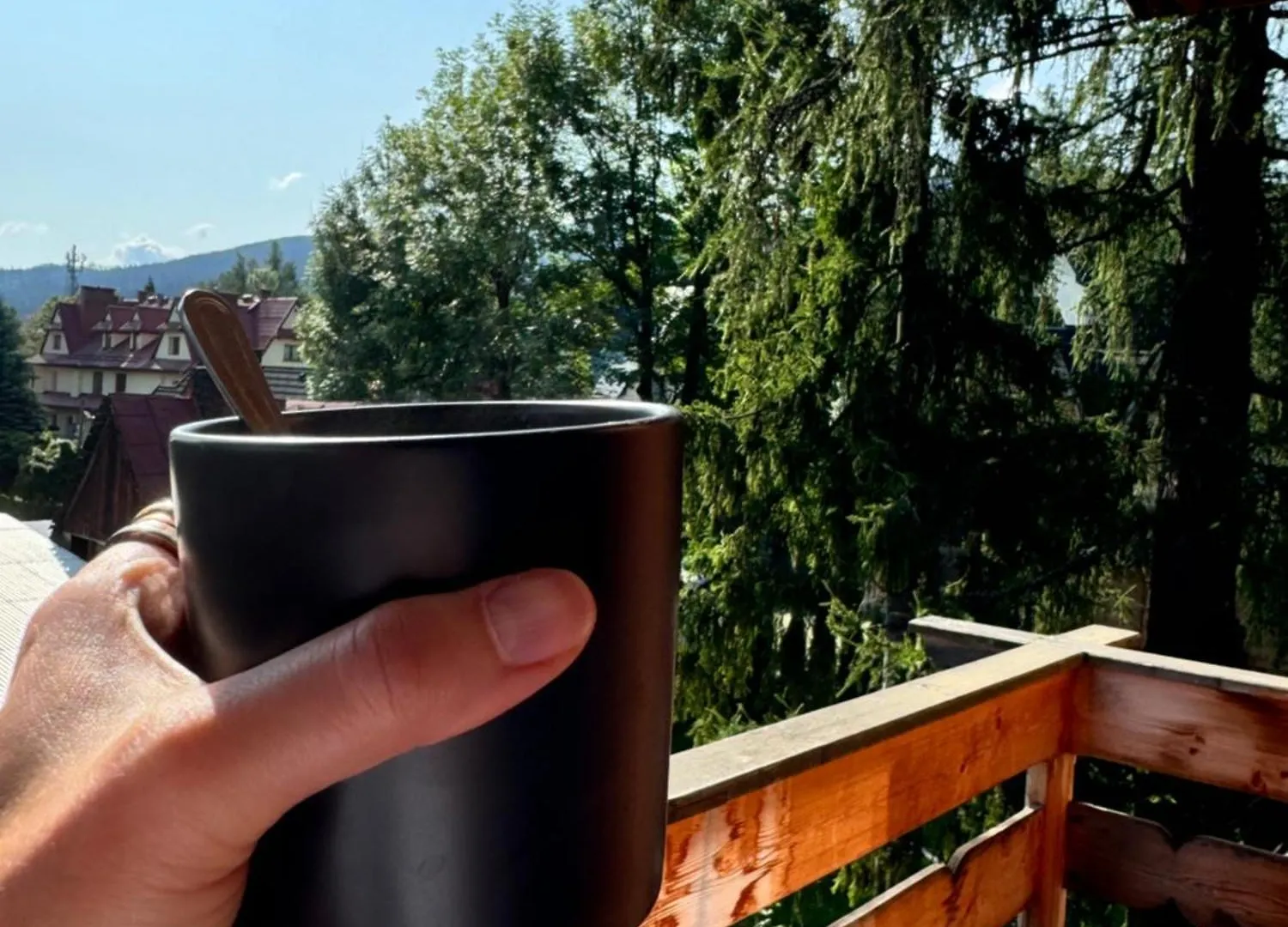 Bed & Breakfast Willa Owca I Baran Zakopane Poland